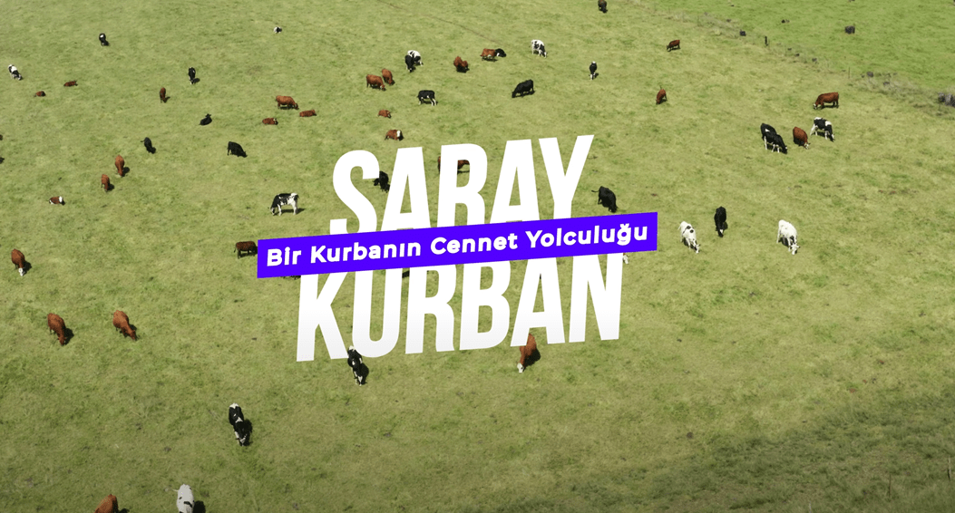 Bir Kurbanın Cennet Yolculuğu